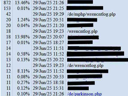 29.6.25 1 Stunde log